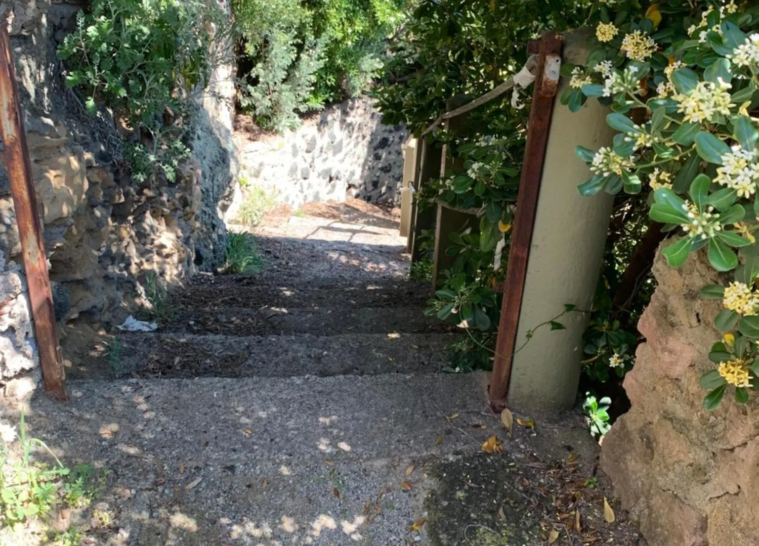 Villa Del Sorriso Castiglioncello Italy